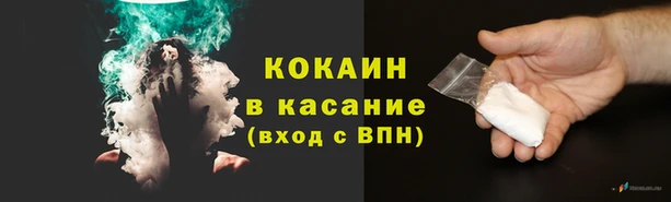 стаф Мегион