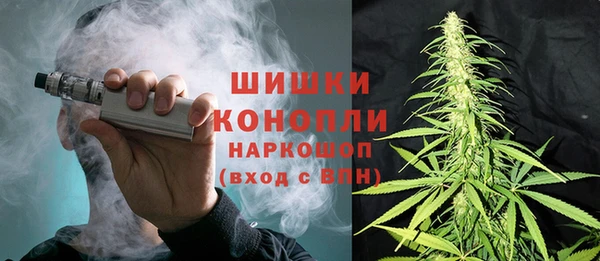 дурь Магас