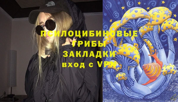 дурь Магас