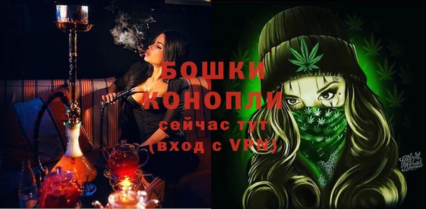 стаф Мегион