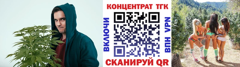 Купить где  Могоча  Дистиллят ТГК жижа 